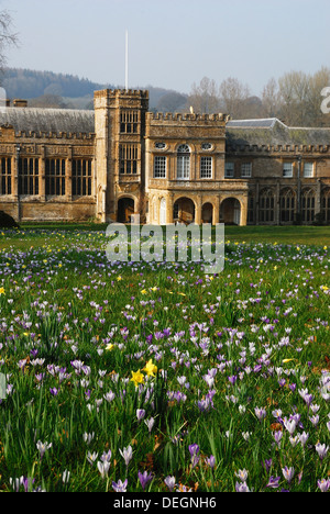 Ein Blick auf die Gärten und die Abtei in Forde Abbey im Frühjahr UK Stockfoto