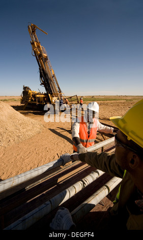 Bohren Sie über Kern-Tabletts mit Proben von der Exploration Rig vor der Anmeldung von Geologen, Oberfläche Gold mine, Mauretanien, NW-Afrika Stockfoto