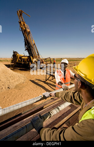 Bohren Sie über Kern-Tabletts mit Proben von der Exploration Rig vor der Anmeldung von Geologen, Oberfläche Gold mine, Mauretanien, NW-Afrika Stockfoto