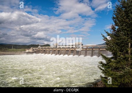 Wasser aus dem Columbia River Ansturm durch die Schleusen am Bonneville Dam, Oregon Stockfoto