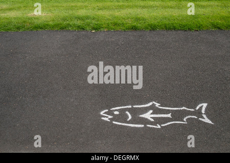 Richtungsanzeiger in Form eines Fisches ist auf dem Fußweg am Bonneville Dam Fish Hatchery, Oregon gemalt. Stockfoto