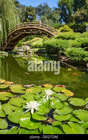 Die schönen japanischen Garten der Huntington Library und botanischen Gärten. Stockfoto