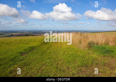 Ein Blick auf das Tal von York von den Höhen der Yorkshire Wolds, England bei blau bewölktem Himmel im Spätsommer Stockfoto