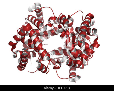 Hämoglobin (Hämoglobin, Hb), chemische Struktur. In den Erythrozyten gefunden; ermöglicht den Sauerstofftransport durch das Blut. Stockfoto