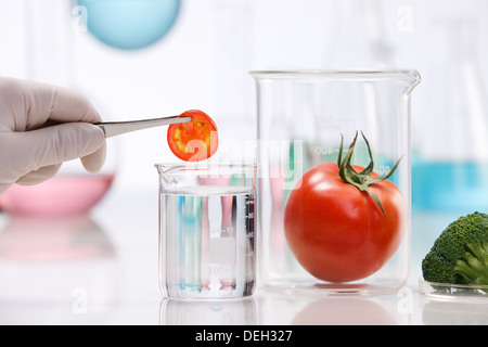 Asiatische Menschen, Pflege Forschung Stockfoto