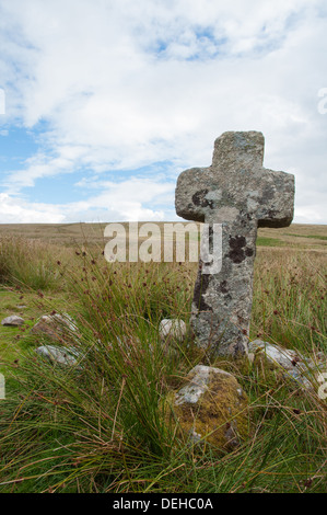 Huntingdon Steinkreuz unterhalb Huntingdon Warren in der Nähe von Avon Reservoir auf Dartmoor Stockfoto