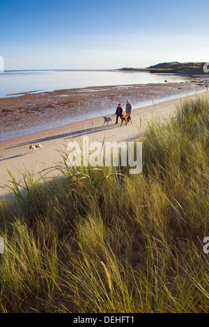 Wanderer und ihre Hunde an einem frühen Morgen Spaziergang im Budle Bay an der Northumberland Küste in der Nähe von Bamburgh. Stockfoto