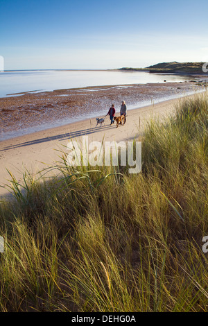 Wanderer und ihre Hunde an einem frühen Morgen Spaziergang im Budle Bay an der Northumberland Küste in der Nähe von Bamburgh. Stockfoto