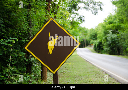 Hirsch-Zeichen des Weges gehen zum Nationalpark in der Provinz Kanchanaburi, westlich von Thailand. Stockfoto