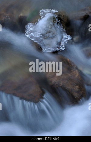 Detail aus einem Wasserstrom mit Eis im Winter. Stockfoto