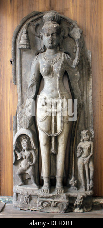 Weiße Tara, vom 9. Jahrhundert fand in Kurkihar in Bihar jetzt ausgesetzt im Indian Museum in Kalkutta, auf 24. November 2012 Stockfoto