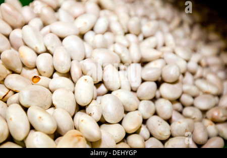 Close-up Jackfrüchte Samen Shop Stockfoto