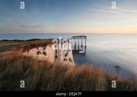 Old Harry Rocks Handfast Zeitpunkt, Studland. Juraküste Welterbe-Aufstellungsort. Dorset. England. VEREINIGTES KÖNIGREICH. Stockfoto