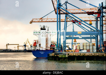 Belfast Hafen, Hafen von Belfast, Nordirland. Container-Schiff andocken Anlage auf Westbank mit Harland und Wolff in Ferne Stockfoto