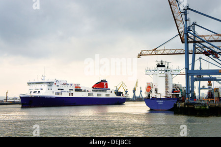 Belfast Hafen, Hafen von Belfast, Nordirland. Passagier-Fähre Stena Lagan vorbeifahrenden Behälter Andocken Anlage in Westbank Stockfoto
