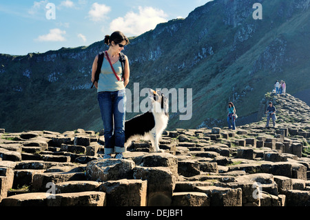 Küste von Giant es Causeway, Co. Antrim, Nordirland, Vereinigtes Königreich. Junge Frau und Border Collie auf Basaltsäulen des Grand Causeway Stockfoto