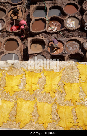 Chouwara Gerbereien, Fes, Marokko Stockfoto