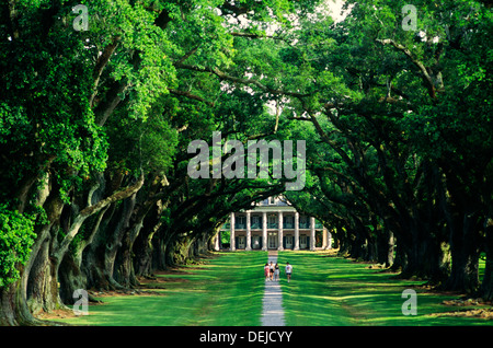 Oak Alley Plantation House auf dem Mississippi River, in Vacherie, Louisiana, USA. Zuckerplantage. Haus stammt aus dem Jahr 1837 Stockfoto