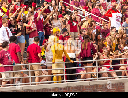 College-Fußball-fans Stockfoto