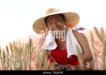 Landwirt im Weizenfeld Stockfoto