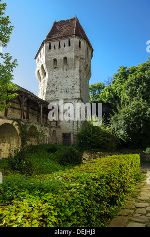 Die Tin Beschichter Turm von Sighisoara/Schäßburg Zitadelle befindet sich im Herzen von Siebenbürgen, Rumänien Stockfoto
