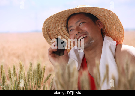 Landwirt im Weizenfeld Anruf tätigen Stockfoto