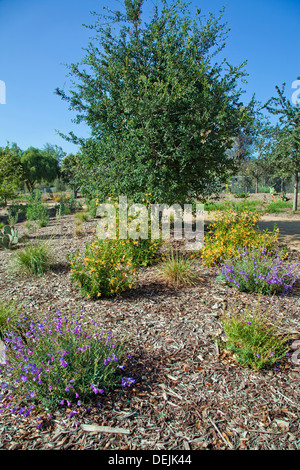 Eröffnung des Sunnynook River Park, Glendale Narrows, Los Angeles River Stockfoto