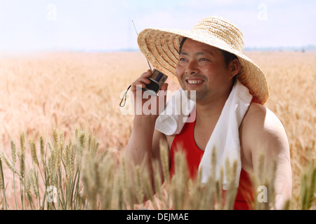 Landwirt Radiohören im Weizenfeld Stockfoto