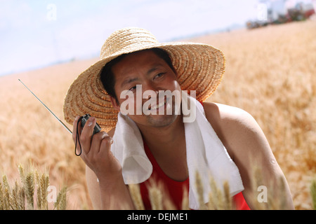 Landwirt Radiohören im Weizenfeld Stockfoto