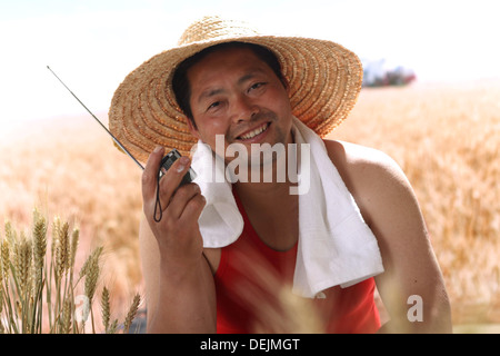 Landwirt Radiohören im Weizenfeld Stockfoto