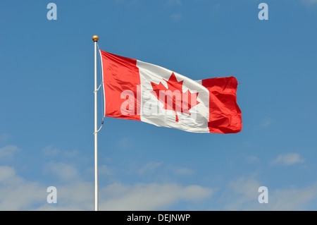Kanadische Maple Leaf flag Stockfoto