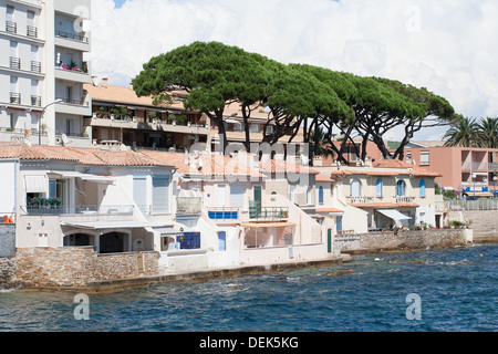 Saint Maxime Hafen Hafen Provence Alpes Cote d ' Azur Frankreich Europa Stockfoto