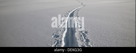 Nahaufnahme von Ski-Spuren im Schnee Stockfoto