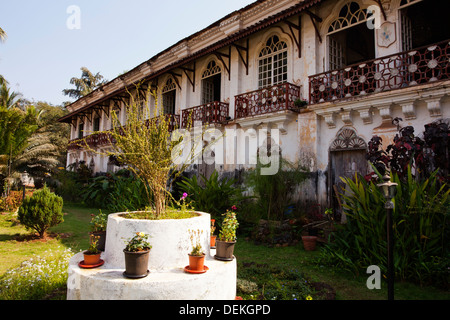 Pflanzen im Garten eines Hauses Menezes Braganza House, Chandor, Salcetta, Süd-Goa, Goa, Indien Stockfoto