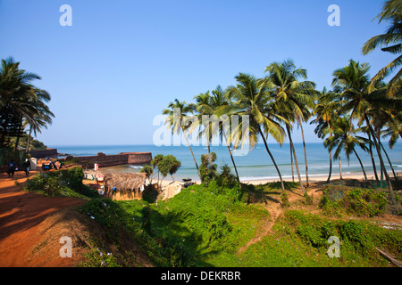 Palmen an der Küste, Candolim Beach, Candolim, Nord-Goa, Goa, Indien Stockfoto