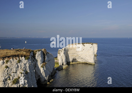 Old Harry Rocks und Poole Bay Jurassic Coast Isle of Purbeck-Dorset-England Stockfoto