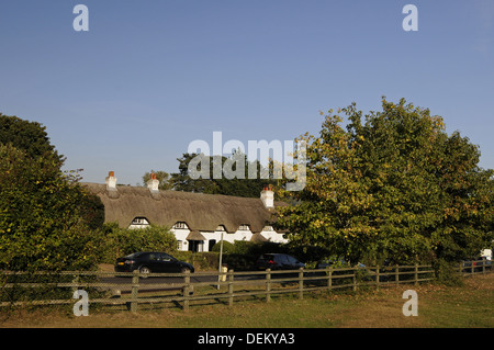 Strohgedeckten Hütten auf Swan Grün in der Nähe von Lyndhurst New Forest Hampshire England Stockfoto