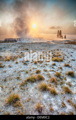 Dampf steigt von Geysir bei Sonnenaufgang, Yellowstone-Nationalpark, Wyoming, Vereinigte Staaten von Amerika Stockfoto