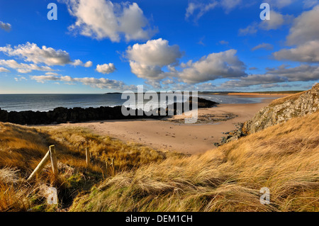 Llanddwyn Island, Anglesey, Wales, UK Stockfoto
