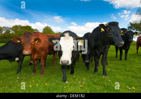 Mariners Hügel, Westerham, Kent, England, UK, Europa Stockfoto