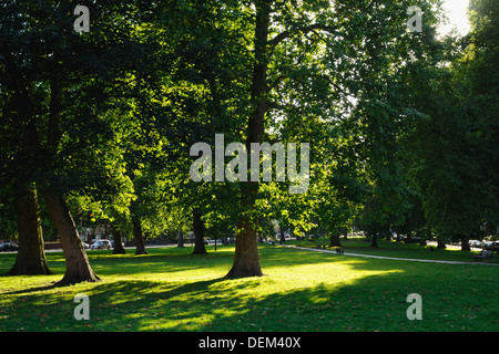 Goose Green, East Dulwich im Sommer Stockfoto