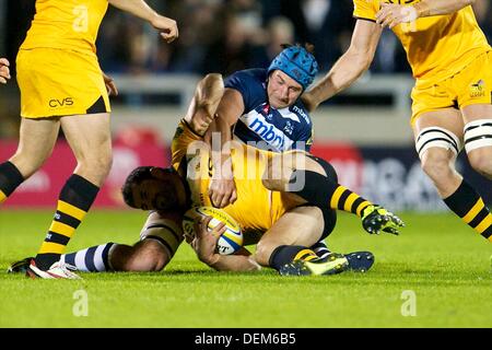 Salford, UK. 20. September 2013. Sale Sharks sperren Kirill Kulemin während der Aviva Premiership Spiel zwischen Verkauf Haifische und London Wasps aus dem AJ-Bell-Stadion. Bildnachweis: Aktion Plus Sport/Alamy Live-Nachrichten Stockfoto