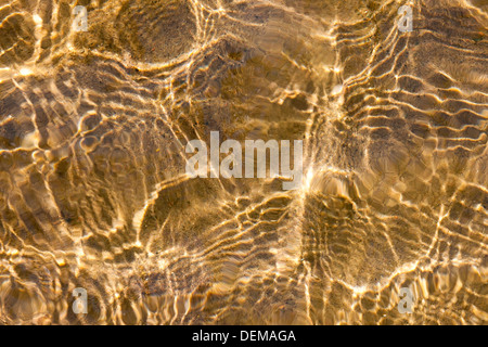 Sonniges flaches Wasser plätschert über gelbe Sandboden Stockfoto