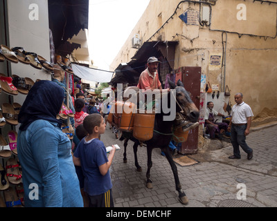 Mann auf einem Pferd mit Gasflaschen in den Straßen der Medina von Fes, Marokko Stockfoto