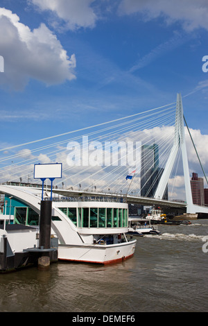 Die Innenstadt von Rotterdam, Nieuwe Maas und Erasmus-Brücke in den Niederlanden, Provinz Südholland. Stockfoto