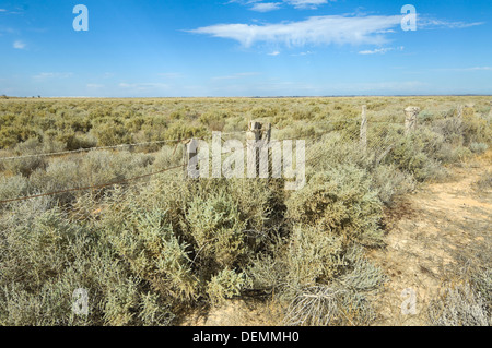 Alte Hasen Beweis Zaun, Mungo National Park, New South Wales, Australien Stockfoto