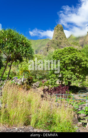 Die berühmten Iao Needle in der Iao Valley State Park auf Maui, Hawaii. Stockfoto