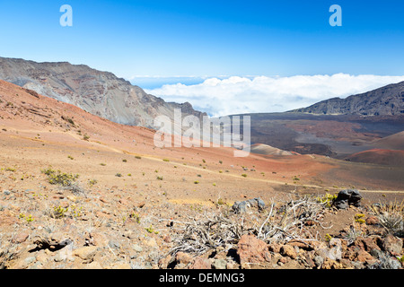 Innenansicht der große Haleakala Krater auf Maui, Hawaii. Stockfoto