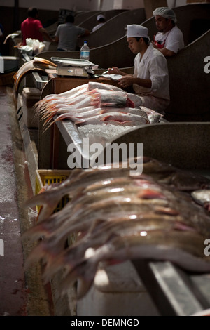 Verkaufende Fische auf dem Markt Ver-o-Peso, in der Stadt Belem tun Para Stockfoto