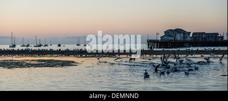 Stearns Wharf, Santa Barbara, Kalifornien Stockfoto